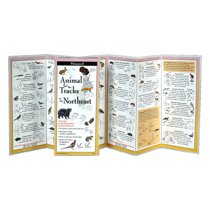 Animal Tracks of the Northeast Folding Guide