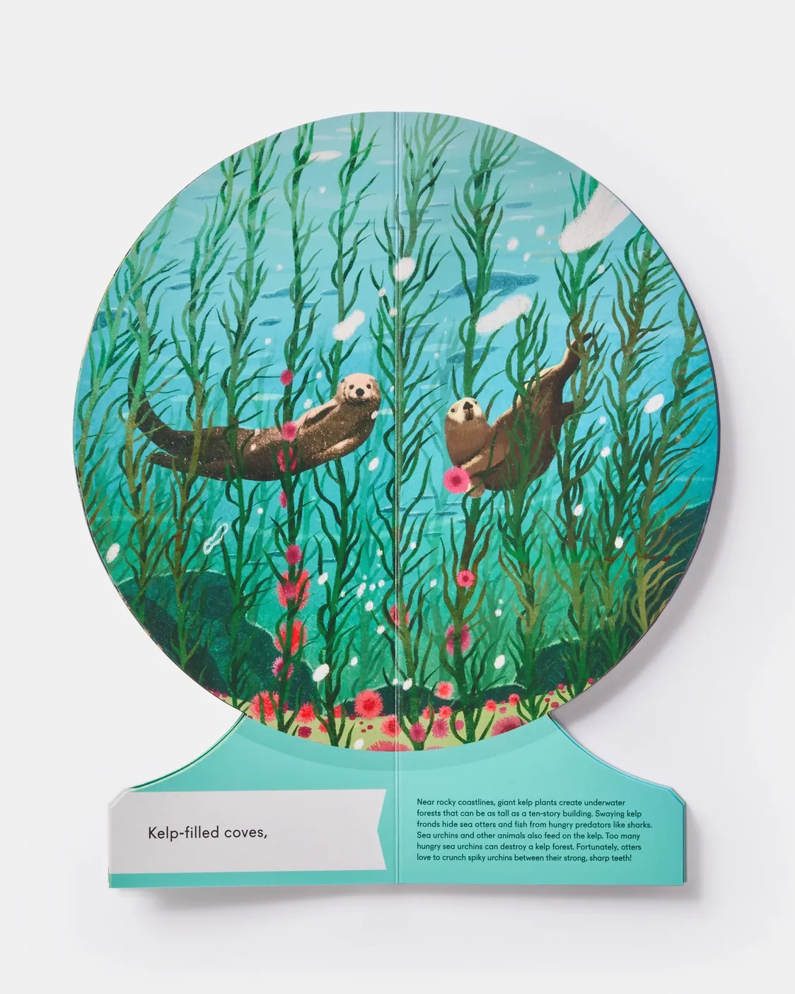 Our Underwater World: A First Dive into Oceans, Lakes, and Rivers