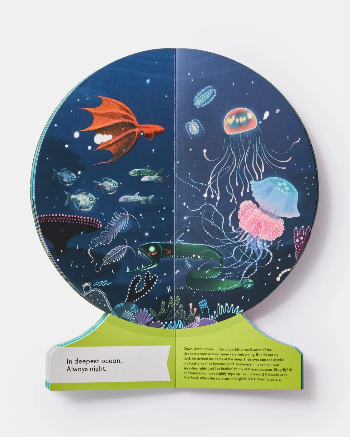 Our Underwater World: A First Dive into Oceans, Lakes, and Rivers