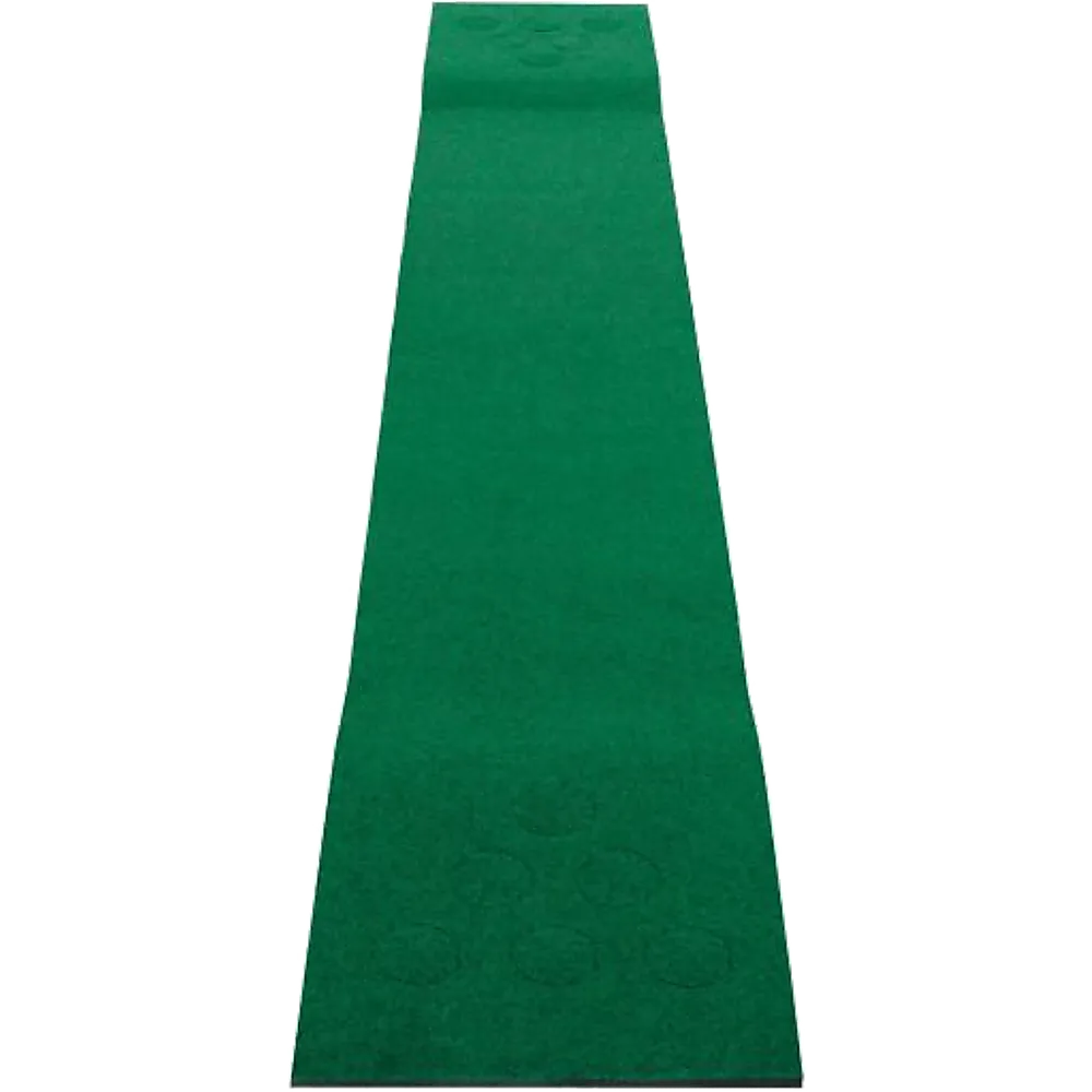 Portable Golf Beer Pong Set with 2 Putters & 6 Balls